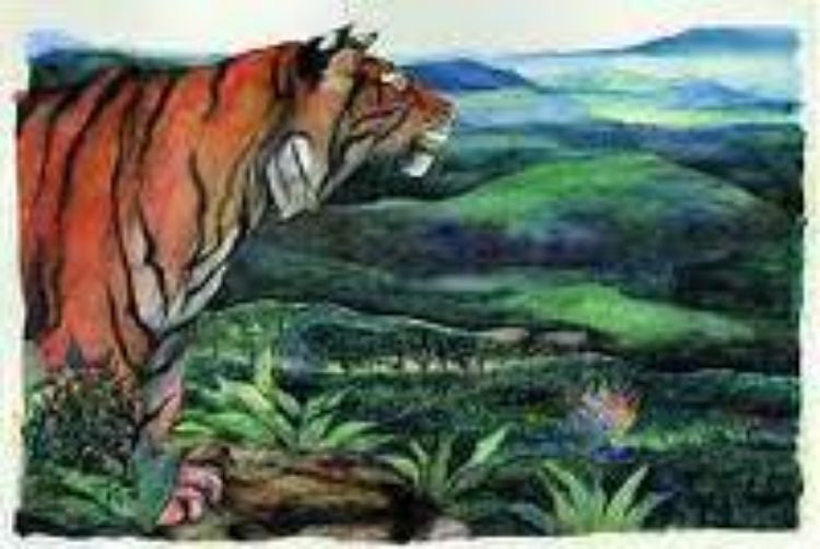 Picture of Lord of the Forest (2022)