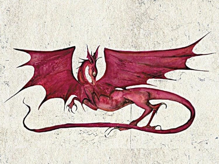 Picture of Dragons Robin Hobb Postcards