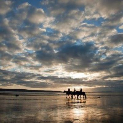 Show details for Horses on Druidstone Beach Picture of Horses on Druidstone Beach