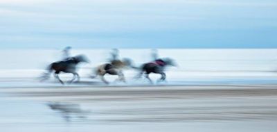 Show details for A Gallop on the Beach Picture of A Gallop on the Beach