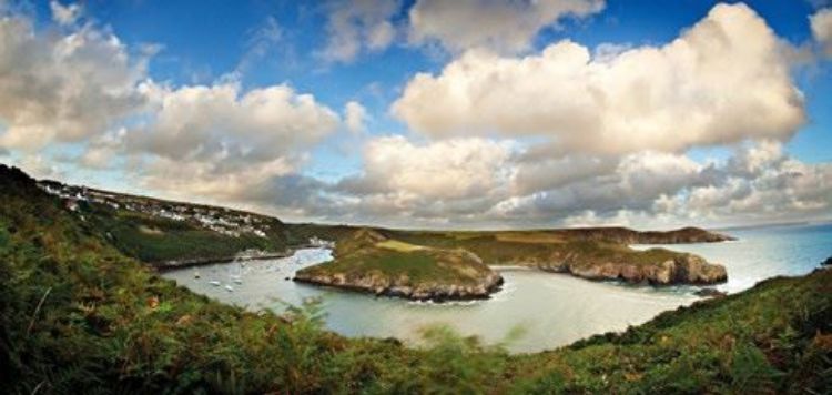 Picture of Solva Harbour