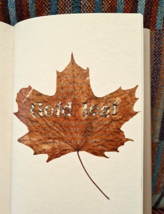 Picture of Feather, Leaf, Bark & Stone