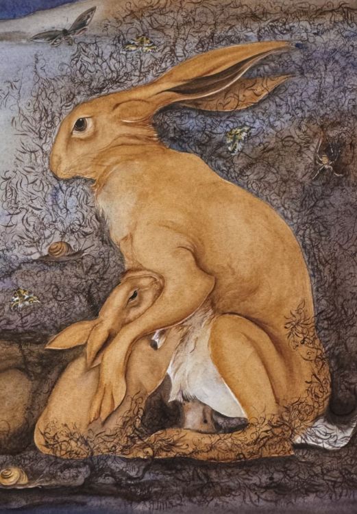 Picture of Hare with Child