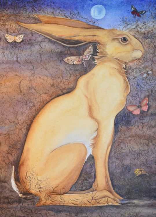 Picture of Golden Hare
