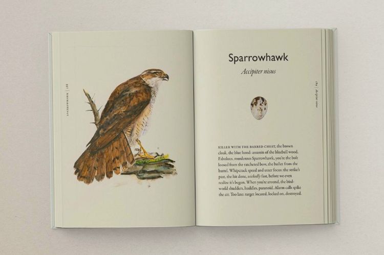 Picture of The Book of Birds