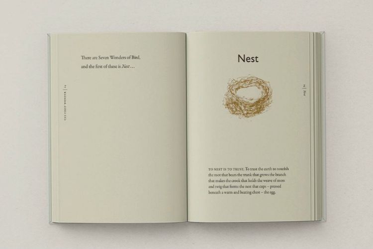 Picture of The Book of Birds (Pre Order)