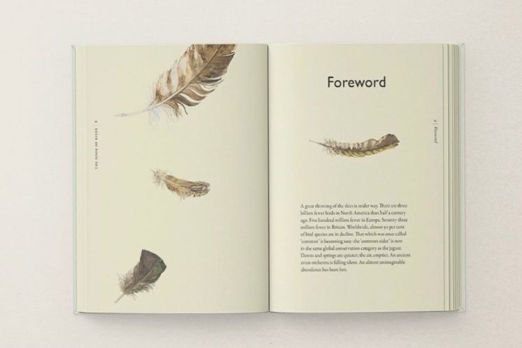 Picture of The Book of Birds