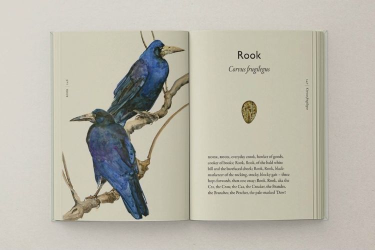 Picture of The Book of Birds (Pre Order)