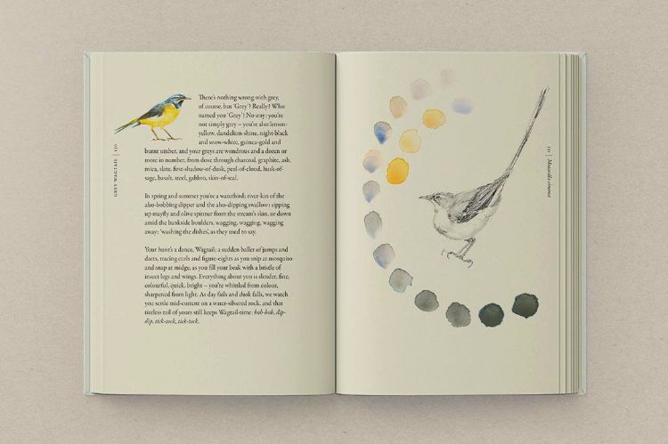 Picture of The Book of Birds