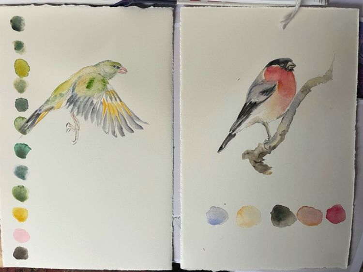 Picture of The Book of Birds