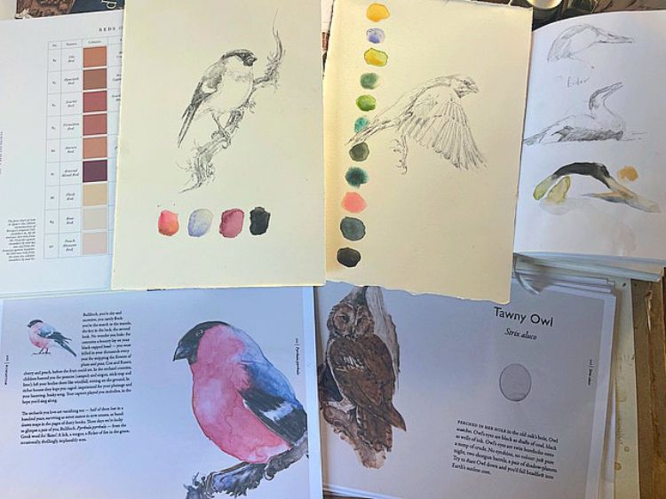Picture of The Book of Birds