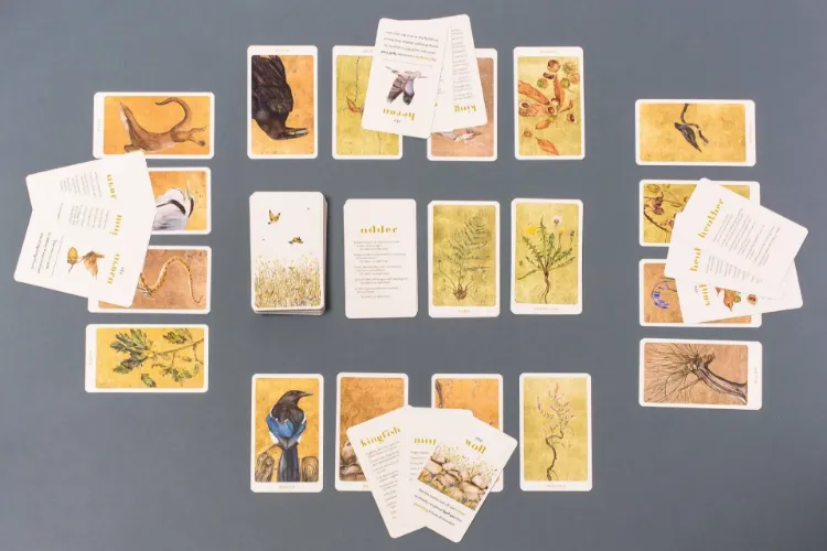 Picture of The Lost Words Card Game