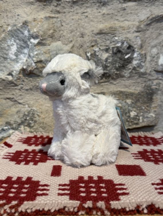 Picture of Soft Lamb Toy