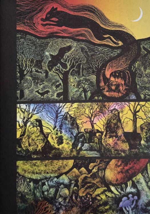 Picture of Wild Folk