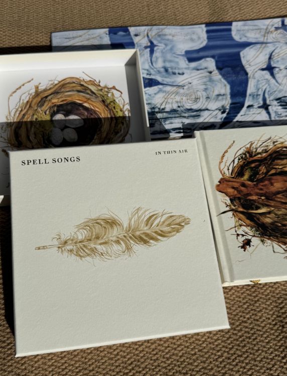 Picture of Spell Songs - In Thin Air
