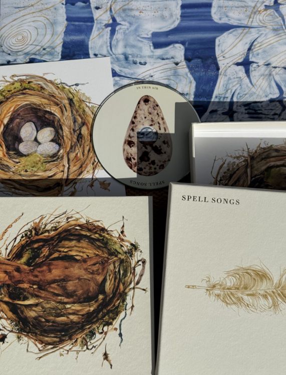 Picture of Spell Songs - In Thin Air